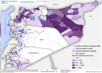 Cholera cases continue to rise in Syria: Report