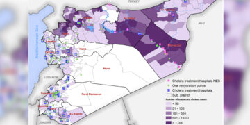 Cholera cases continue to rise in Syria: Report