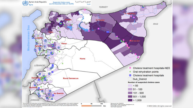 Cholera cases continue to rise in Syria: Report