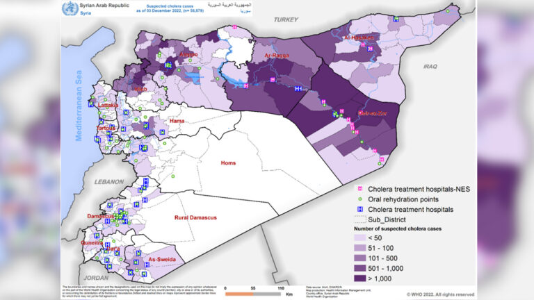 Cholera cases continue to rise in Syria: Report
