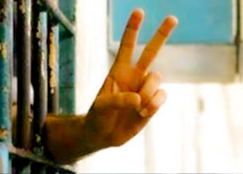 Turkey’s human rights violations directly linked to Kurdish question, says Human Rights watchdog