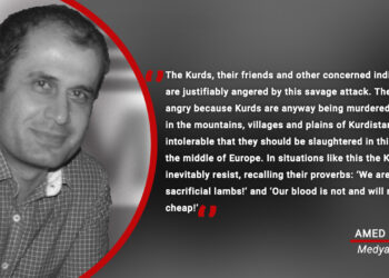 The attack on the Kurds in Paris and certain questions