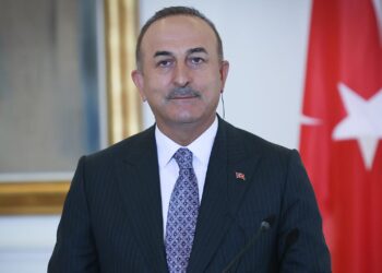 Turkey pushes France to turn against Kurds