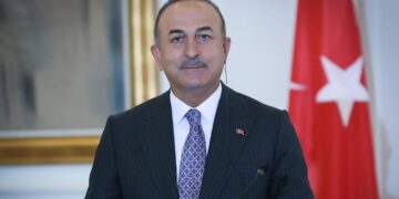 Turkey pushes France to turn against Kurds
