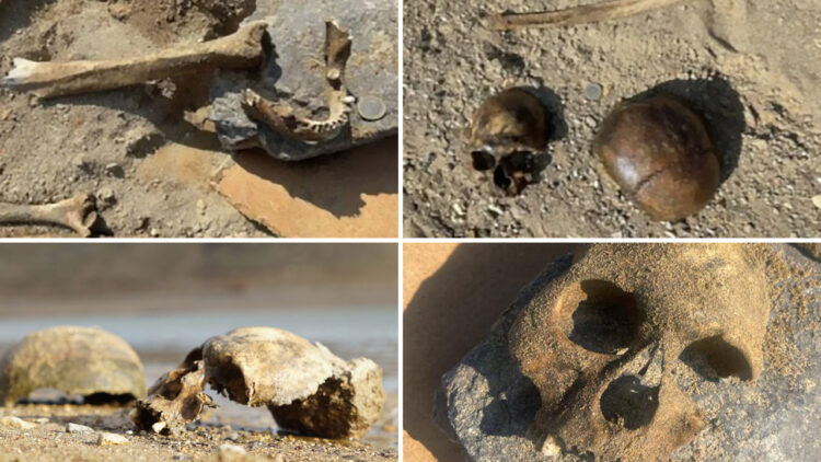Resurfaced human bones in Turkey’s eastern valley: Prosecutors stalling investigation