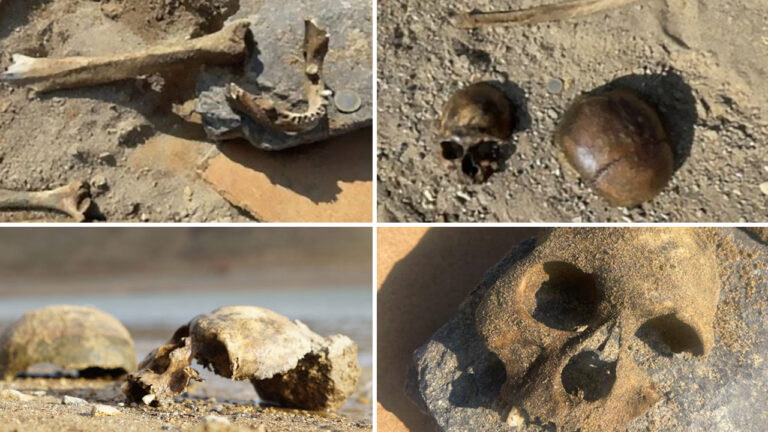 Resurfaced human bones in Turkey’s eastern valley: Prosecutors stalling investigation