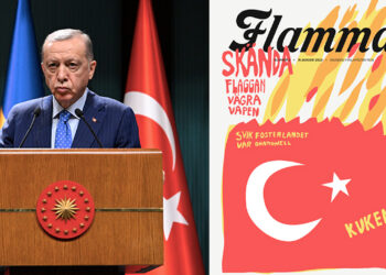 Swedish daily launches competition for Erdoğan cartoons