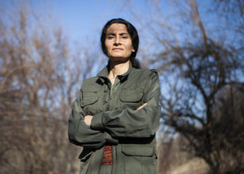Besê Hozat: Agreement with Kurds in interest of Damascus