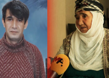 “I don’t know if he is dead or alive”, mother of İmralı prisoner tells international delegation