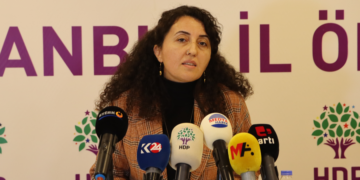 Turkey’s top court’s ruling to freeze HDP accounts unlawful: HDP representative