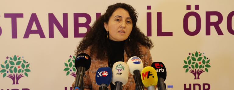 Turkey’s top court’s ruling to freeze HDP accounts unlawful: HDP representative