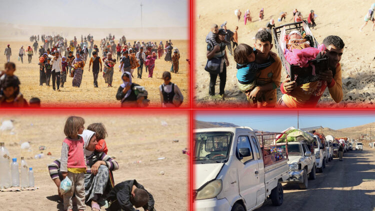 Hundred more Yazidi families return to ancestral home in Iraq, thousands remain in exile