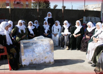 Turkey could have fewer earthquake casualties by not targeting Kurds, say Peace Mothers