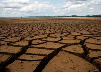 Mersin faces ‘very severe drought’ threat amidst increased population after earthquakes in Turkey
