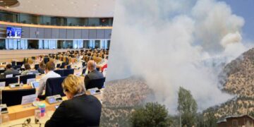EP conference calls for chemical weapons investigation, end to drone strikes in Kurdish territories