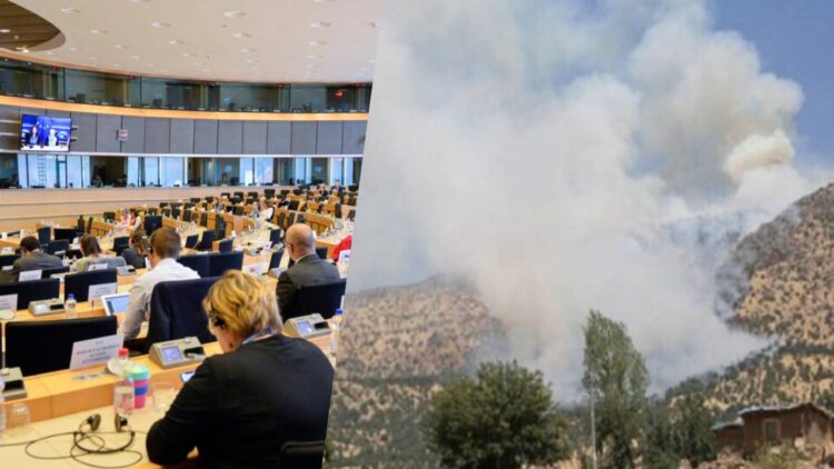 EP conference calls for chemical weapons investigation, end to drone strikes in Kurdish territories