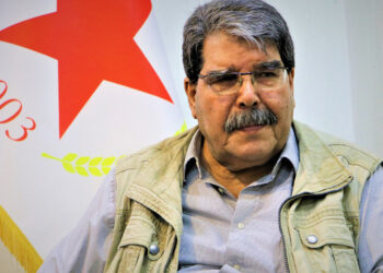 Syrian-Kurdish politician: Struggle against ISIS requires measures against Turkey