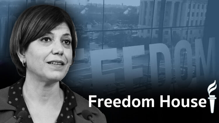 Turkey ranks alongside Tanzania in freedom index: pro-Kurdish MP