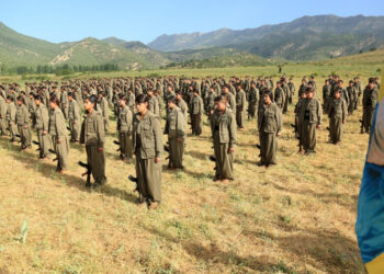 Guerrilla forces should not violate no-action period: HSM