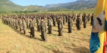 Guerrilla forces should not violate no-action period: HSM