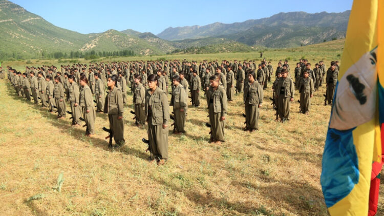 Guerrilla forces should not violate no-action period: HSM
