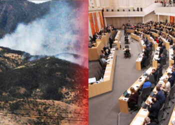 Austrian Parliament calls on Turkey to comply with international law in cross-border offensives