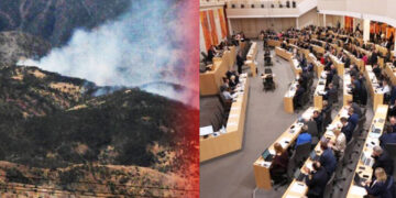 Austrian Parliament calls on Turkey to comply with international law in cross-border offensives