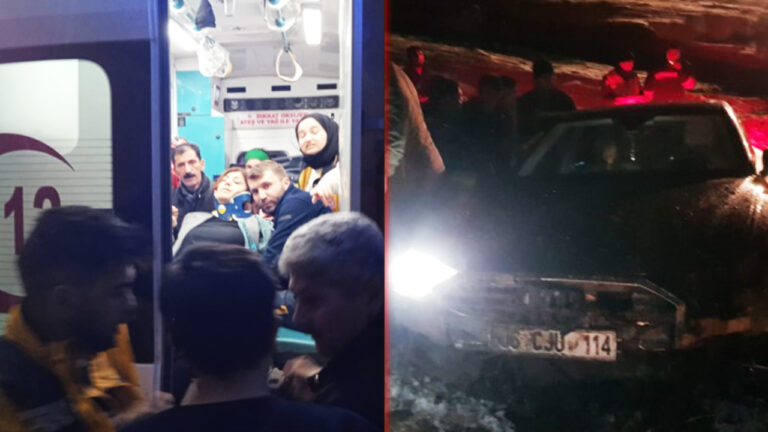 Kurdish politician Meral Danış Beştaş taken into surgery after traffic accident