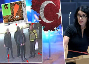 Swedish MP addresses threat to Kurdish community amid alleged Turkish government link in refugee murder
