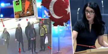 Swedish MP addresses threat to Kurdish community amid alleged Turkish government link in refugee murder
