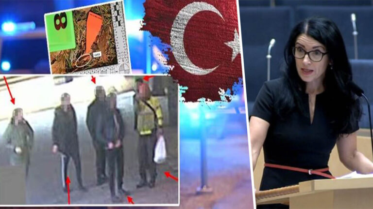 Swedish MP addresses threat to Kurdish community amid alleged Turkish government link in refugee murder