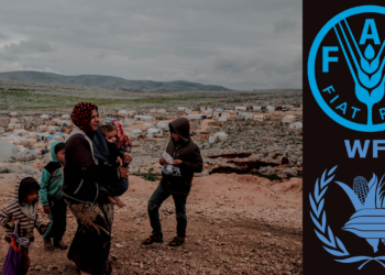 Over half of Syria’s population face acute hunger crisis, UN report reveals