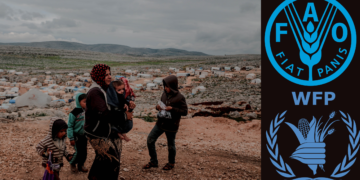 Over half of Syria’s population face acute hunger crisis, UN report reveals