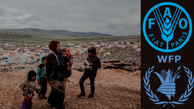 Over half of Syria’s population face acute hunger crisis, UN report reveals