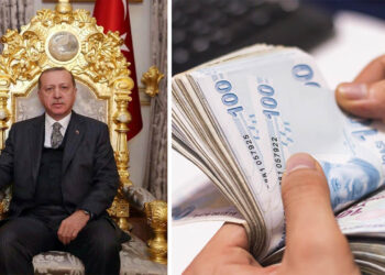 Turkish President Erdoğan’s assets revealed amidst controversy, doubt