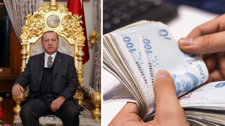 Turkish President Erdoğan’s assets revealed amidst controversy, doubt