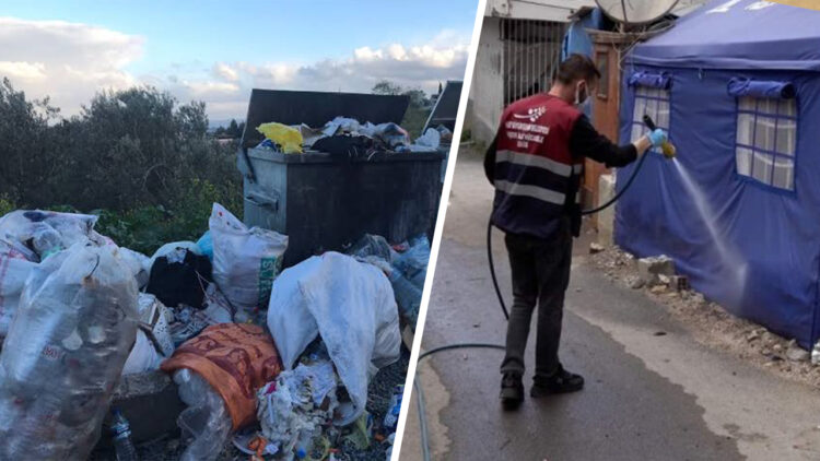 Rodent and fly infestations threaten public health in Turkey’s quake-hit Hatay