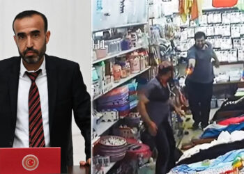 Green Left MP submits first parliamentary question on investigation into family’s deaths