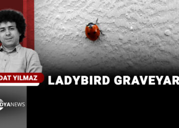 Ladybird graveyard: jailed journalist writes from Turkish prison