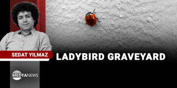Ladybird graveyard: jailed journalist writes from Turkish prison