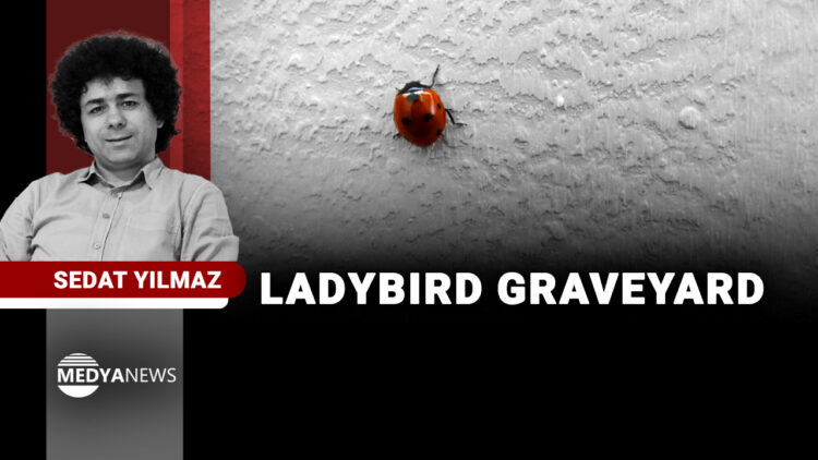 Ladybird graveyard: jailed journalist writes from Turkish prison