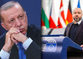 MEP calls for action against Erdoğan’s government, urges Europe to reconsider support