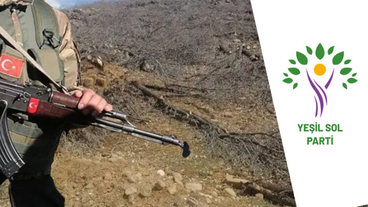 Turkish government faces scrutiny over deforestation in Kurdish regions