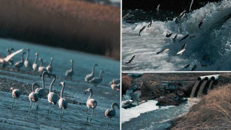 Turkey’s Lake Van threatened by pollution as wastewater treatment plant fails to safeguard ecosystem