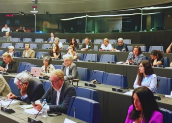 European Parliament conference unpacks rights violations in Turkish prisons