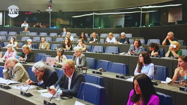 European Parliament conference unpacks rights violations in Turkish prisons