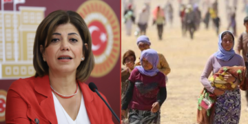 Green Left MP questions Turkish government’s safeguarding ISIS members