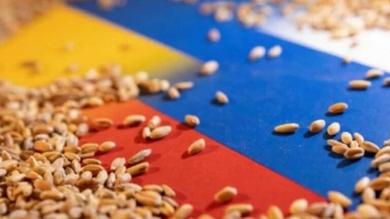 Russia terminates Black Sea grain deal