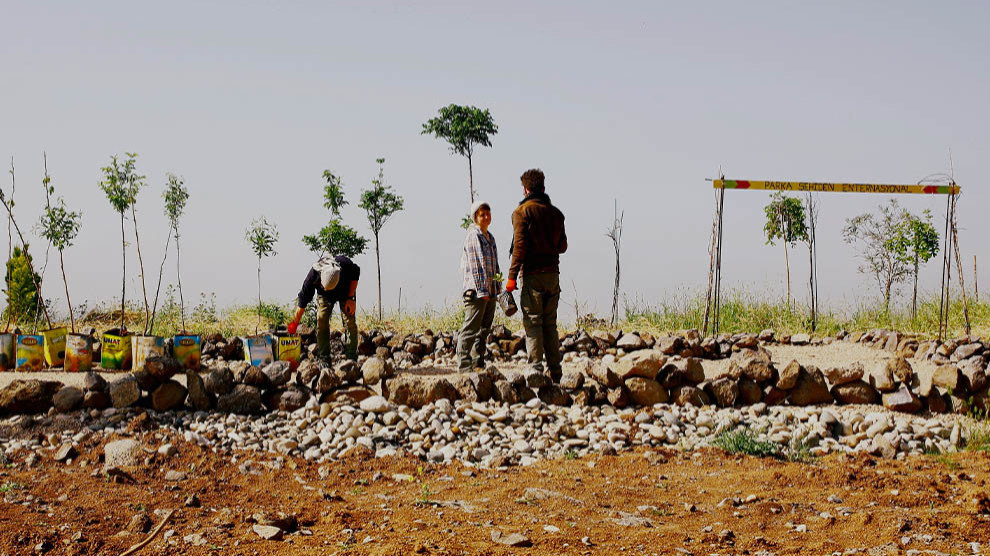 Dans la campagne "Make Rojava Green Again", des jeunes locaux et des militants internationaux unissent leurs forces pour planter des arbres.