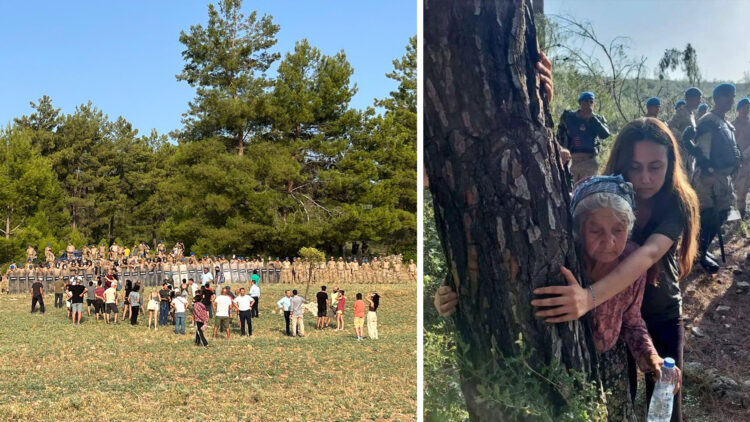 Turkey: Activists and villagers defend Akbelen forest amidst harsh crackdown